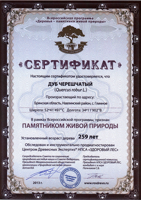 Сертификат партизанский дуб
